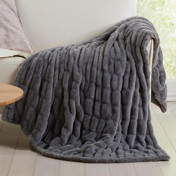 Best Deal Micro Plush Throw Blanket for Couch